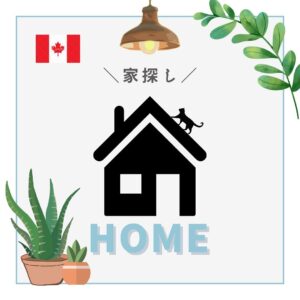 \🇨🇦トロントの家事情🏠/