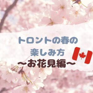 \🌸トロントのお花見🌸/