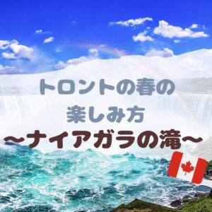 \🇨🇦ナイアガラの滝🇺🇸✨/